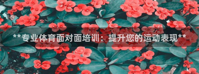 欧陆娱乐app攻略大全：**专业体育面对面培训：提升