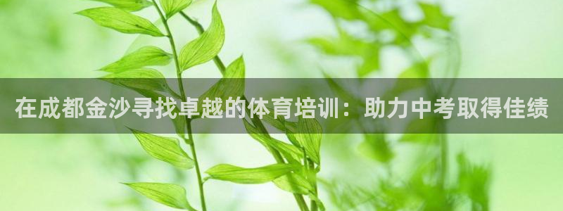 欧陆娱乐登陆官网网址：在成都金沙寻找卓越的体育培训：