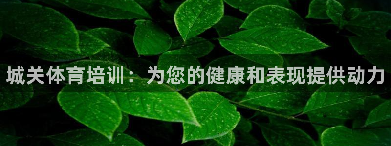 欧陆娱乐欢迎访问：城关体育培训：为您的健康和表现提供